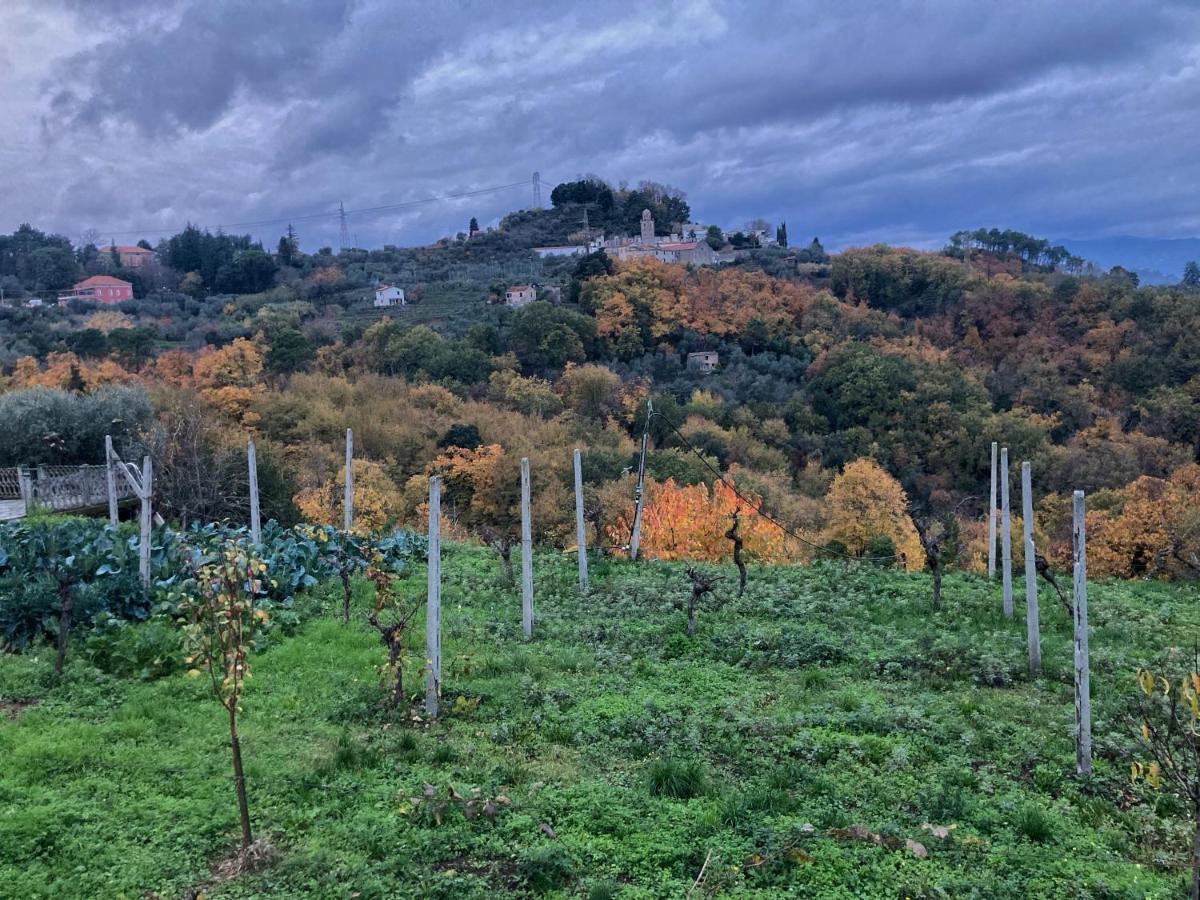 La Casa Rossa Arcola Con Vista Villa Eksteriør bilde
